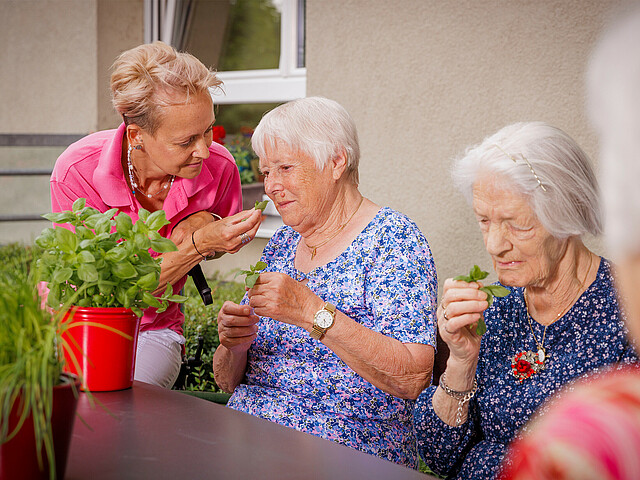Drei ältere Damen sitzen im Garten und verarbeiten mit einer Pflegerin die Kräuter die in diesem in kleinen Töpfen wachsen.