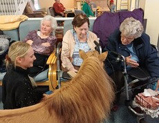 Bewohnerinnen des Pflegewohnhauses erleben gemeinsam eine Pony‑Begegnung im Aufenthaltsraum.