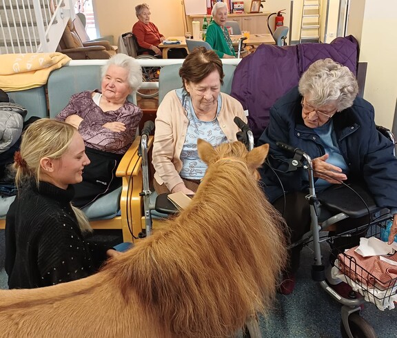 Bewohnerinnen des Pflegewohnhauses erleben gemeinsam eine Pony‑Begegnung im Aufenthaltsraum.