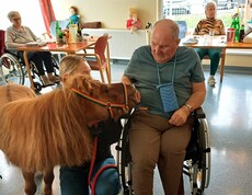 Ein Bewohner im Rollstuhl begegnet einem Pony im Gemeinschaftsraum des Pflegewohnhauses, begleitet von einer Betreuungsperson.