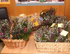 Mehrere Körbe gefüllt mit liebevoll gebundenen Palmbuschen stehen bereit. Die farbenfrohen Sträuße aus Weidenkätzchen, Grünzweigen und bunten Bändern sind sorgfältig arrangiert und warten darauf, im Pflegewohnhaus gesegnet zu werden