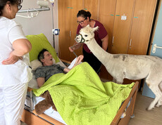 Ein Alpaka steht am Bett eines Bewohners, der freudig reagiert; zwei Pflegekräfte begleiten die Szene