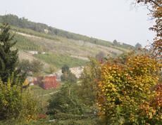 Umgebung des Haus St. Leopold