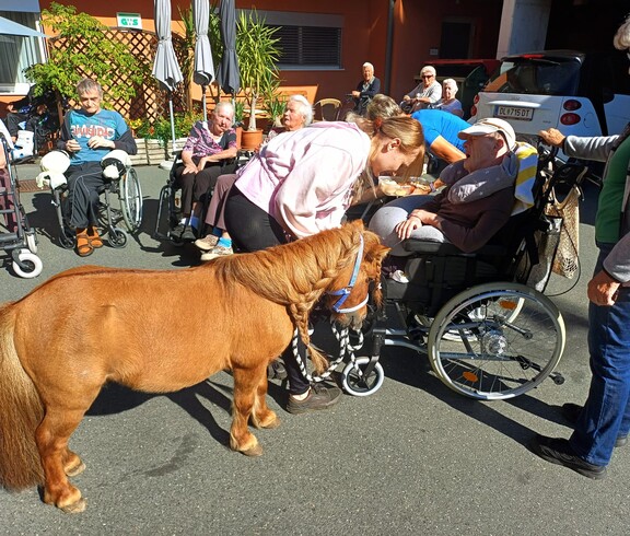 Pony Maxi steht im Innenhof des Pflegewohnhauses zwischen mehreren Bewohnerinnen und Bewohnern, die das kleine Pony aus nächster Nähe beobachten und streicheln.