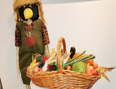 Eine herbstliche Dekoration mit einer Vogelscheuche, die neben einem kleinen Tisch steht. Auf dem Tisch befindet sich ein Korb voller frischer Ernteprodukte wie Kürbisse, Maiskolben und Äpfel. Rund um den Tisch liegen weitere Kürbisse, was eine festliche Stimmung passend zum Erntedankfest schafft.