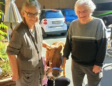Zwei Bewohnerinnen stehen neben dem kleinen Pony Maxi und streicheln es, während eine Begleitperson das Pony im Außenbereich des Pflegewohnhauses hält.