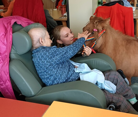 Eine Bewohnerin des Pflegewohnhauses sitzt in einem Sessel und streichelt ein Pony im Rahmen einer tiergestützten Aktivität, begleitet von einer Betreuungsperson.