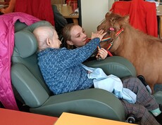 Eine Bewohnerin des Pflegewohnhauses sitzt in einem Sessel und streichelt ein Pony im Rahmen einer tiergestützten Aktivität, begleitet von einer Betreuungsperson.