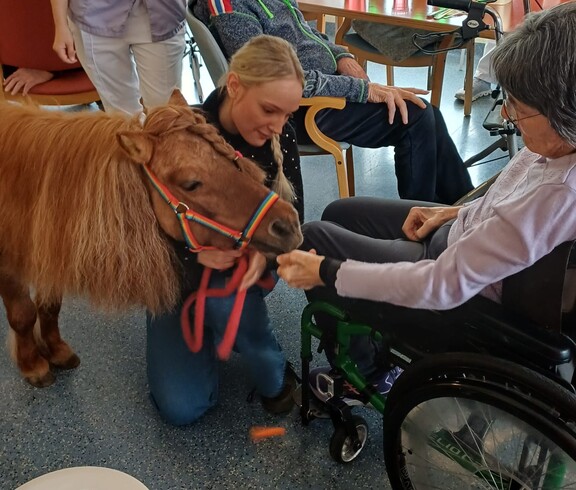 Eine Bewohnerin des Pflegewohnhauses füttert in ihrem Rollstuhl sitzend ein Pony im Rahmen einer tiergestützten Aktivität, begleitet von einer Betreuungsperson.
