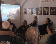 Gruppe von Senior*innen, viele im Rollstuhl, sieht sich eine Naturdokumentation im kleinen Kinosaal an