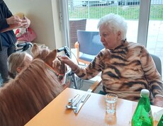 Eine Bewohnerin des Pflegewohnhauses sitzt an einem Tisch und berührt im Rahmen einer tiergestützten Aktivität ein Pony.