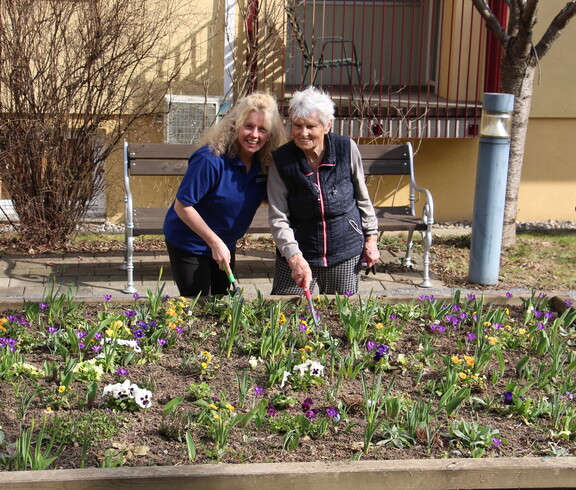Eine Bewohnerin und eine Mitarbeiterin stehen gemeinsam an einem erhöhten Blumenbeet im Freien und arbeiten mit kleinen Gartengeräten in der Erde. Vor ihnen blühen zahlreiche bunte Frühblüher wie Stiefmütterchen und Krokusse. Im Hintergrund befinden sich eine Bank, ein Baum sowie das Pflegewohnhaus. Ein Rollator steht am rechten Bildrand.