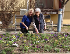 Eine Bewohnerin und eine Mitarbeiterin stehen gemeinsam an einem erhöhten Blumenbeet im Freien und arbeiten mit kleinen Gartengeräten in der Erde. Vor ihnen blühen zahlreiche bunte Frühblüher wie Stiefmütterchen und Krokusse. Im Hintergrund befinden sich eine Bank, ein Baum sowie das Pflegewohnhaus. Ein Rollator steht am rechten Bildrand.