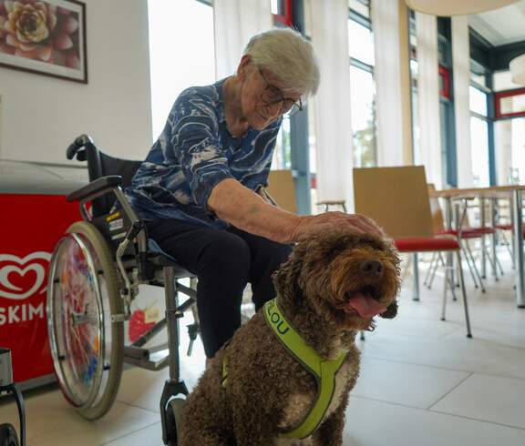 Eine ältere Frau im Rollstuhl streichelt den Therapiehund Filou.