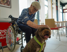 Eine ältere Frau im Rollstuhl streichelt den Therapiehund Filou.