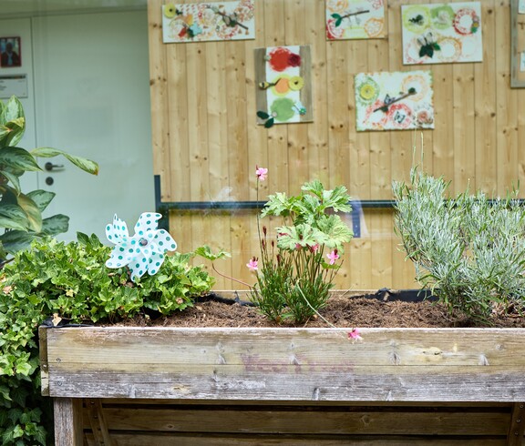Ein hölzernes Hochbeet steht vor einer Glaswand. Darin wachsen verschiedene grüne Pflanzen sowie einige rosa Blüten. Eine kleine, blau-weiß gepunktete Windmühle steckt zwischen den Pflanzen. Im Hintergrund hängen an einer Holzwand bunt gestaltete Bilder.