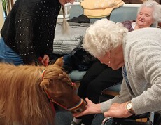 Eine Bewohnerin eines Pflegewohnhauses füttert im Gemeinschaftsraum im Rahmen einer tiergestützten Aktivität ein Pony, begleitet von einer Betreuungsperson.