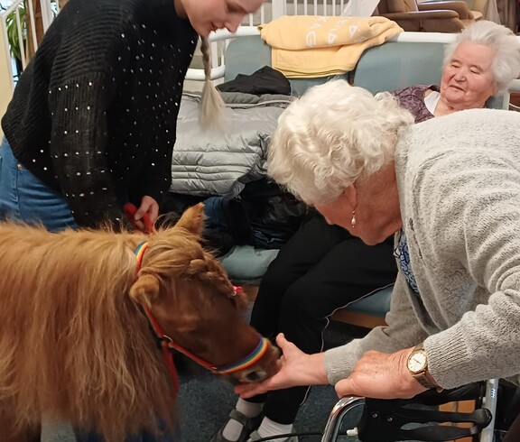 Eine Bewohnerin eines Pflegewohnhauses füttert im Gemeinschaftsraum im Rahmen einer tiergestützten Aktivität ein Pony, begleitet von einer Betreuungsperson.