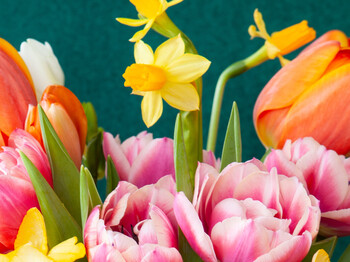 Kleiner Blumenstrauß aus fröhlich bunten Blumen im Frühling