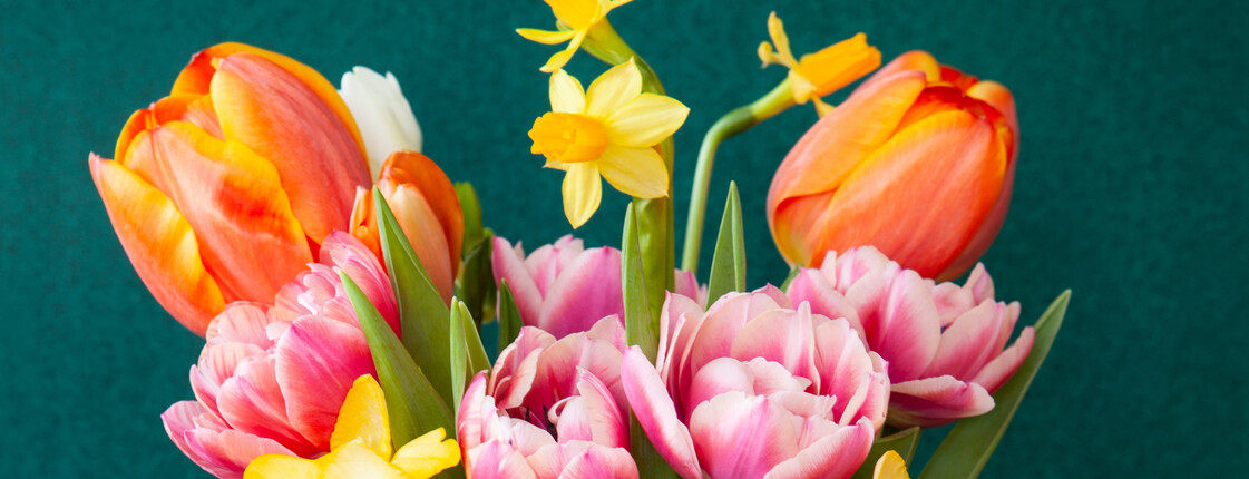 Kleiner Blumenstrauß aus fröhlich bunten Blumen im Frühling