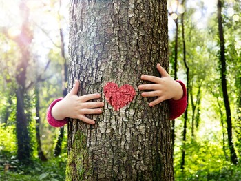 Tree,Hugging,-,Love,Nature,-,Child,Hug,The,Trunk