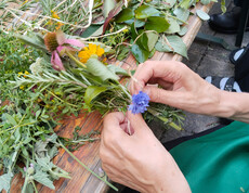 Hände einer Person binden aus Heilpflanzen wie Rosmarin und Ringelblume einen Kräuterstrauß