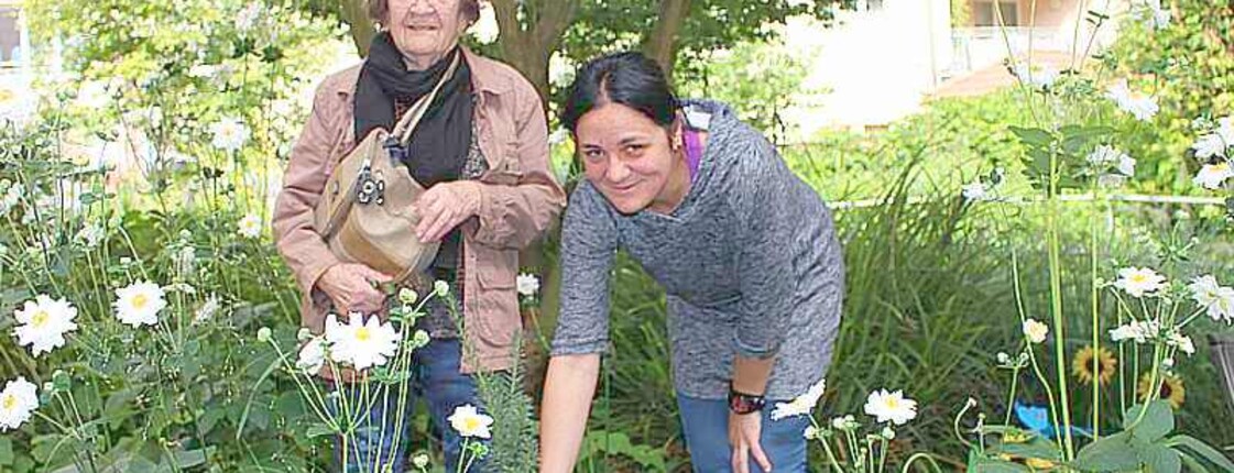 Eine Eibe fürs Klima Eine Frau hält eine Eibenplfanze in der Hand
