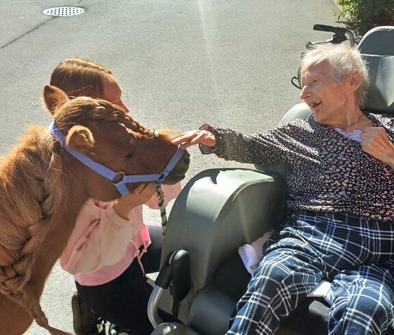 Eine Bewohnerin im Rollstuhl berührt vorsichtig die Nase von Pony Maxi, das von einer Begleitperson an ihre Seite geführt wird.