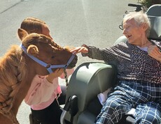 Eine Bewohnerin im Rollstuhl berührt vorsichtig die Nase von Pony Maxi, das von einer Begleitperson an ihre Seite geführt wird.