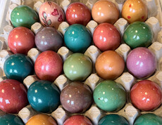 Bunt gefärbte Ostereier liegen sortiert in einem Eierkarton als Ergebnis einer gemeinsamen Osteraktion.