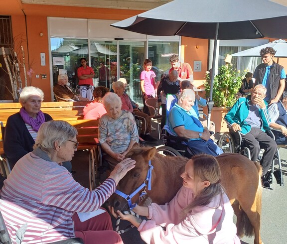 Eine Bewohnerin streichelt Pony Maxi im Innenhof des Pflegewohnhauses, während weitere Bewohnerinnen und Bewohner die Begegnung im Hintergrund verfolgen.