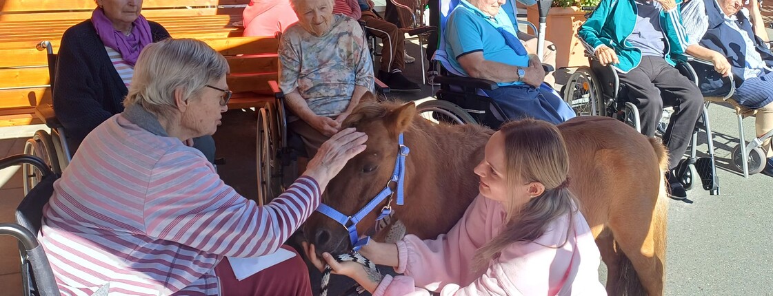 Eine Bewohnerin streichelt Pony Maxi im Innenhof des Pflegewohnhauses, während weitere Bewohnerinnen und Bewohner die Begegnung im Hintergrund verfolgen.