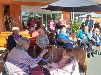 Eine Bewohnerin streichelt Pony Maxi im Innenhof des Pflegewohnhauses, während weitere Bewohnerinnen und Bewohner die Begegnung im Hintergrund verfolgen.