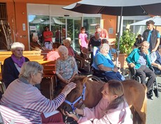 Eine Bewohnerin streichelt Pony Maxi im Innenhof des Pflegewohnhauses, während weitere Bewohnerinnen und Bewohner die Begegnung im Hintergrund verfolgen.