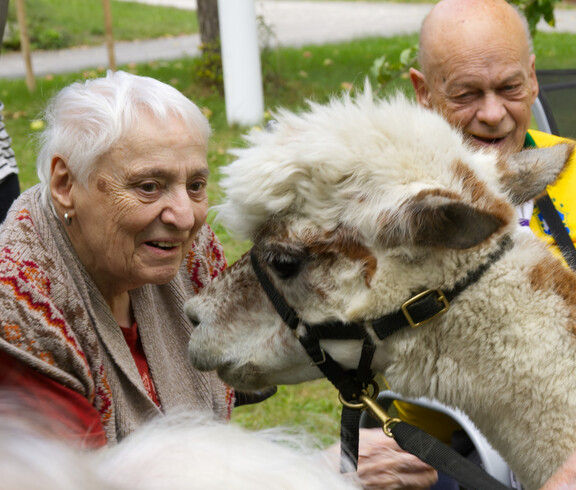 Alte Frau, alter Mann, Alpaka