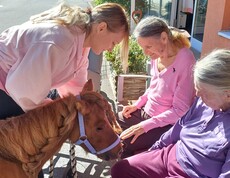 Zwei Bewohnerinnen sitzen im Außenbereich des Pflegewohnhauses und begegnen Pony Maxi aus nächster Nähe, während eine Begleitperson das kleine Pony zu ihnen führt.