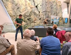 Gruppe älterer Menschen beim Vortrag mit Tierpräparaten im Haus der Steinböcke
