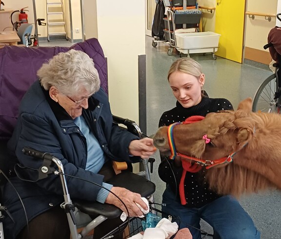 Eine Bewohnerin des Pflegewohnhauses füttert im Gemeinschaftsraum im Rahmen einer tiergestützten Aktivität ein Pony, begleitet von einer Betreuungsperson.