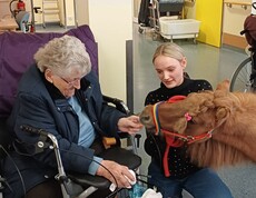 Eine Bewohnerin des Pflegewohnhauses füttert im Gemeinschaftsraum im Rahmen einer tiergestützten Aktivität ein Pony, begleitet von einer Betreuungsperson.