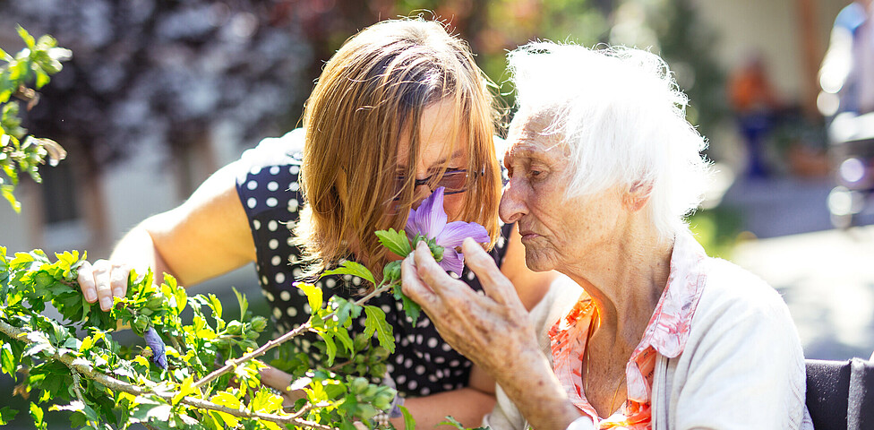 Eine junge Frau und eine ältere Dame riechen an einer Blume des Eibisch-Strauches im Garten.