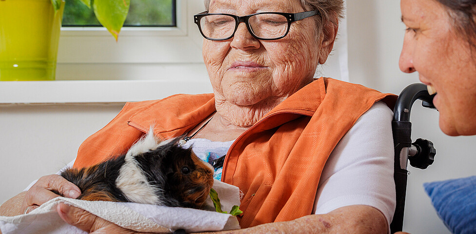 Eine Bewohnerin hält ein dreifärbiges Meerschweinchen auf dem Arm.