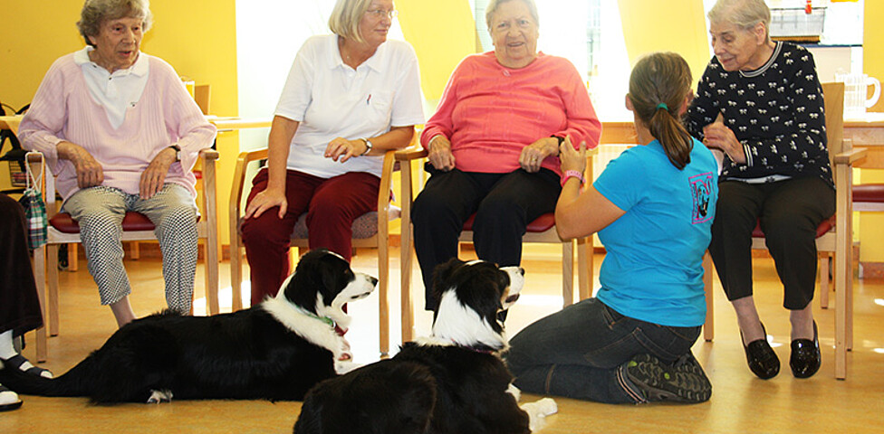 Tiertherapie zum Kennenlernen beim Tag der offenen Tür im Haus St. Klemens