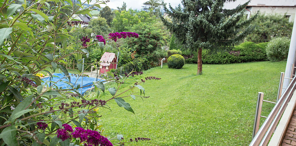 Die Gartenanlage mit einer schönen Wiese, Sträuchern und Bäumen laden zum Wohlfühlen ein.