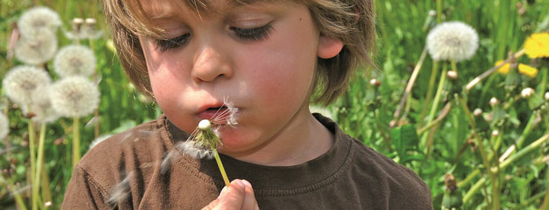 Ein kleiner Junge mit braunen, längeren Haaren und einem braunen T-Shirt sitzt in einer Blumenwiese und hält eine Pusteblume in seiner rechten Hand, deren Fallschirme er in die Luft pustet.